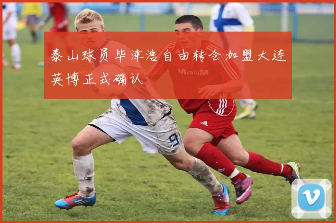 泰山球员毕津浩自由转会加盟大连英博正式确认