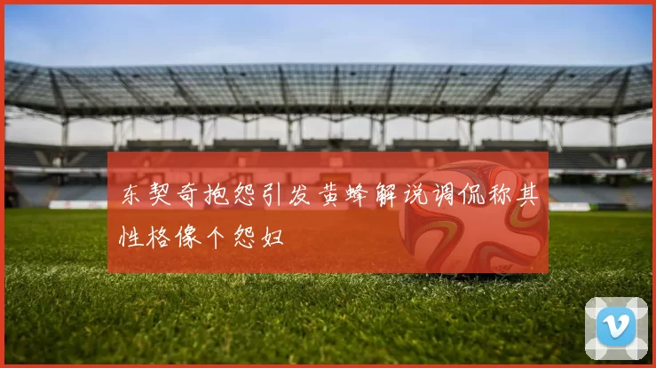 东契奇抱怨引发黄蜂解说调侃称其性格像个怨妇